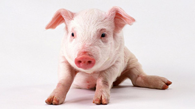 Det-Hierarkiske-Princip-19-Erik-Ansvang