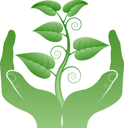 green live green live