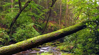 Konkurrence-esoterisk-belyst-07-Erik-Ansvang