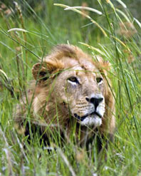 Konkurrence-esoterisk-belyst-10-Erik-Ansvang