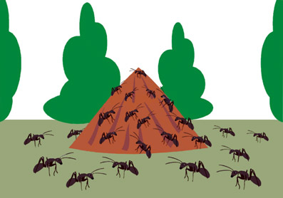 Konkurrence-esoterisk-belyst-23-Erik-Ansvang