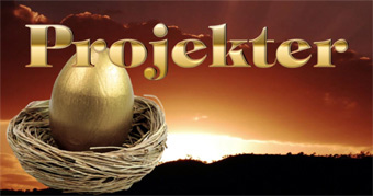 Forside-Menu-Banner-Projekter