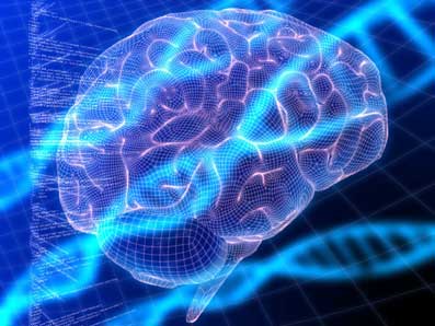 Videnskabernes-integrering-19-Brian-Arrowsmith