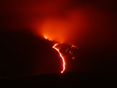 Det-fantastiske-menneske-11-�ndsvidenskab