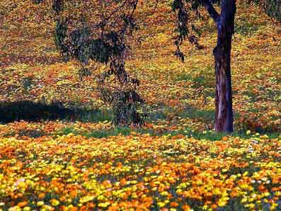 Det-fantastiske-menneske-12-�ndsvidenskab