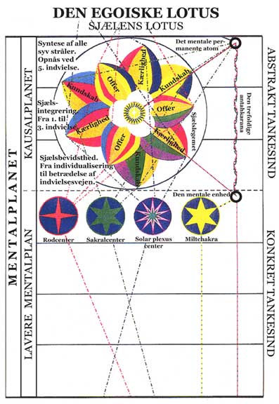 Det-fantastiske-menneske-28-�ndsvidenskab