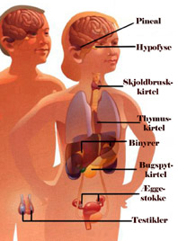 Sublimering-af-seksualenergi-05-Alice-Bailey