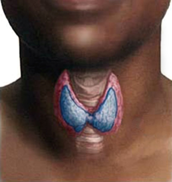 Sublimering-af-seksualenergi-14-Alice-Bailey