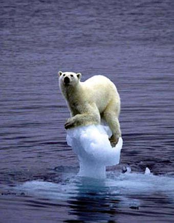 Greenpeace-Miljøorganisation-01