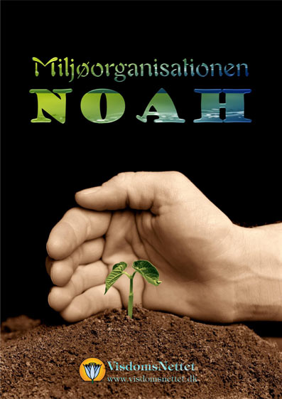 Noah-Miljøorganisation