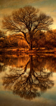 Bevidsthedsudvidelse-04-Erik-Ansvang