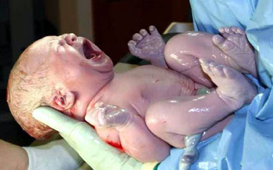 Kosmologi-i-Egypten-19-Rosemary-Clark