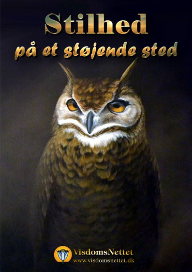 Stilhed-på-et-støjende-sted
