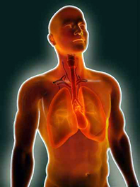 Magi-og-metafysiske-kr�fter-11-Erik-Ansvang