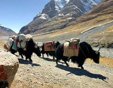 Magi-og-metafysiske-kr�fter-17-Erik-Ansvang