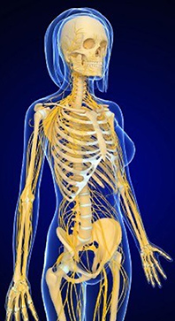 Det-fysiske-redskab-05-Annie-Besant