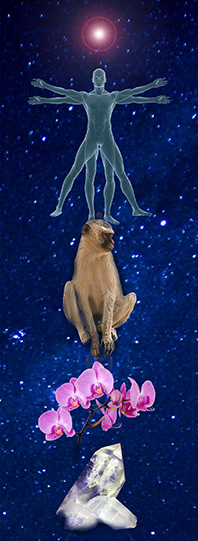 Meditationens-indre-landskab-05-Kenneth-S�rensen