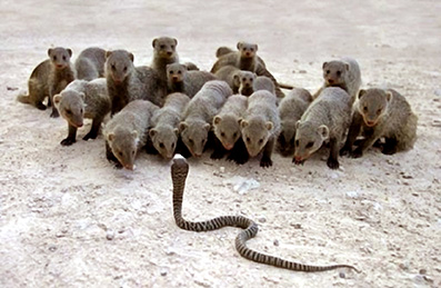 Praktisk-�ndsvidenskab-12-Blavatsky