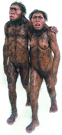 Evolutionens-veje-&-afveje-05-Hardy-Bennis