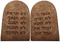 Evolutionens-veje-&-afveje-11-Hardy-Bennis