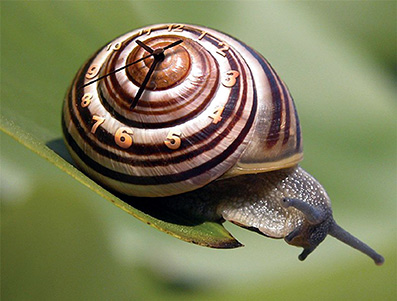 Helbredelsens-mysterium-19