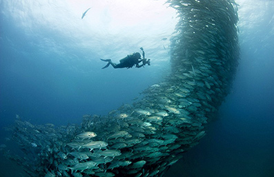 Fra-instinktiv-til-�ndelig-telepati-24