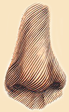 Psykiske-evner-og-deres-opst�en-15