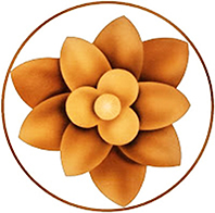 Regncyklussens-esoteriske-symbolik-24