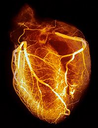 Ilddevaer-15-Geoffrey-Hodson