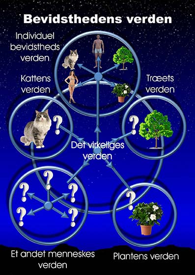 Fra-uvirkeligt-til-virkeligt-18