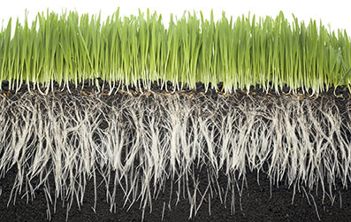 Bevidsthedsrummet-imellem-16