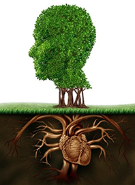 �ndsvidenskab-&-Udvikling-07