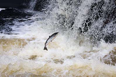 Selvmord-esoterisk-set-08-Erik-Ansvang