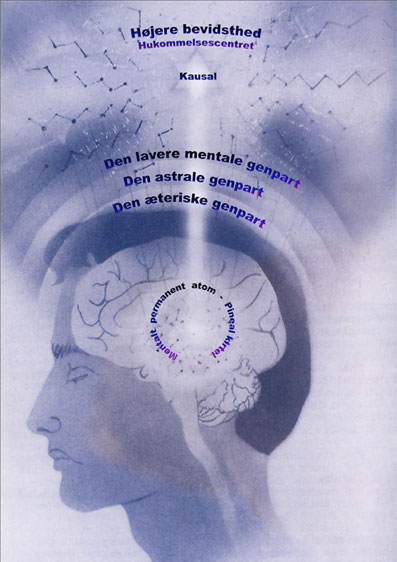 Det-fantastiske-menneske-04-�ndsvidenskab