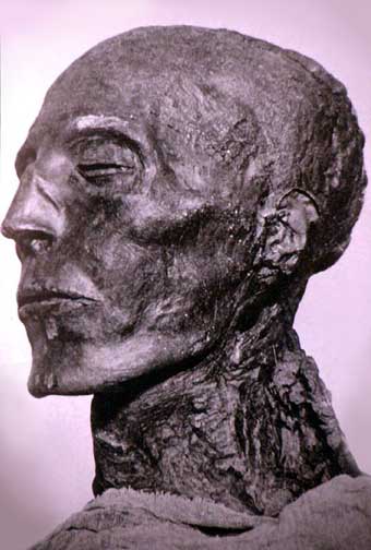 Troede-de-gamle-egyptere-på-reinkarnation-07