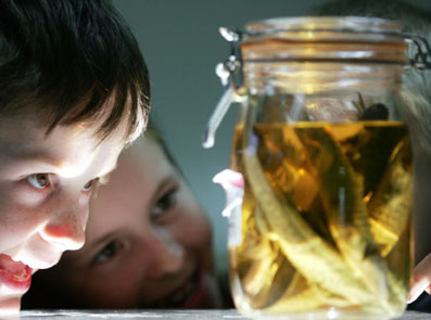 Hvad-er-bevidsthed-07-af-Erik-Ansvang