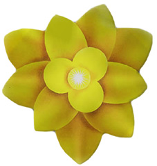 Info-Skabende-meditation-02-Esoterisk-instruktion