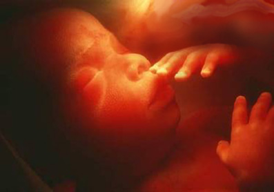 Fødslens-Mirakel-Geoffrey-Hodson-10-Esoterisk-forskning