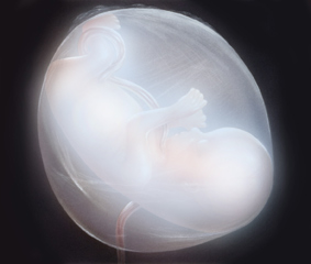 Fødslens-Mirakel-Geoffrey-Hodson-14-Esoterisk-forskning