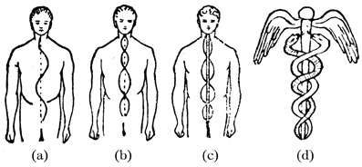 Chakraerne-14-Figur-4-Leadbeater