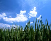 Ikon-Et-menneskeligt-samfund-Erik-Ansvang