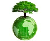 Ikon-Noah-Milj�organisation