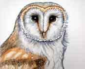 Ikon-Stilhed-på-et-støjende-sted