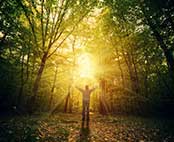 Ikon-Tro-Viden-&-Vished-Erik-Ansvang